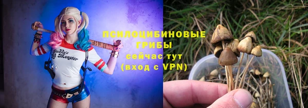 дживик Армянск