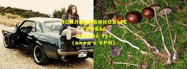 дживик Армянск