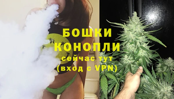 стафф Аркадак