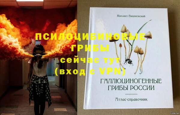 дживик Армянск