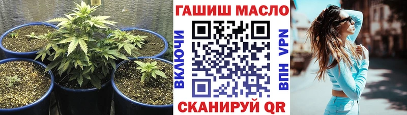 ТГК концентрат  как найти   Пучеж 