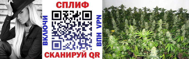 Марихуана гибрид  купить закладку  Пучеж 